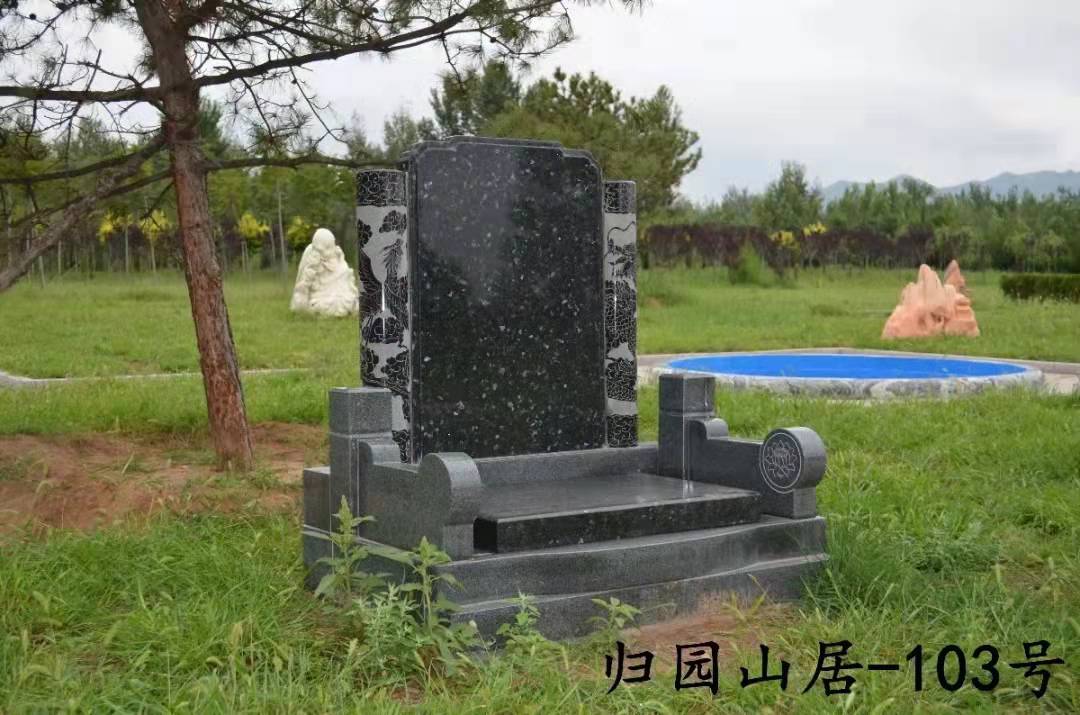 图片十二.jpg